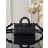 Dior Lady D-joy S2